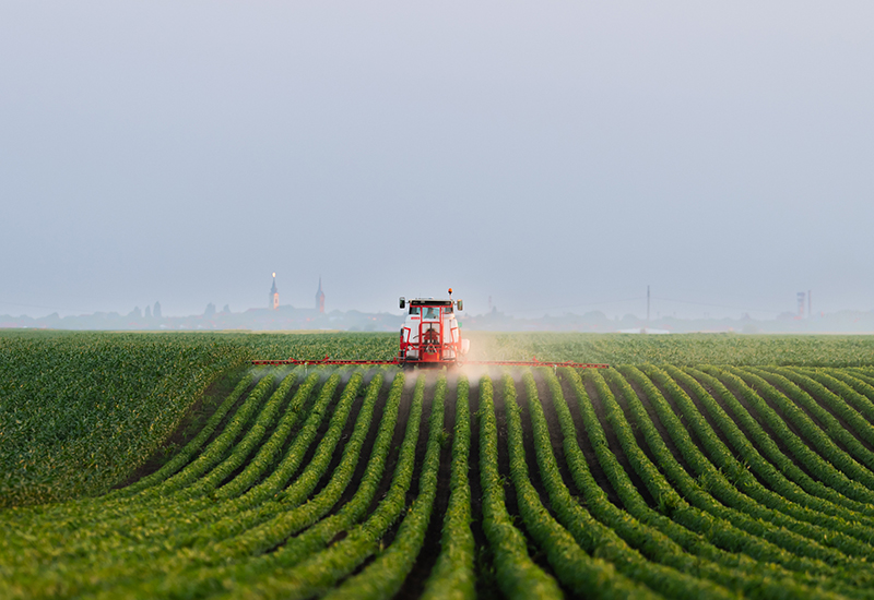 tractor in middle of large field spraying crops